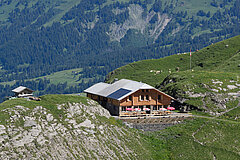SAC-Hütte auf einer grünen Alpterrasse, umgeben von steilen Hängen und Berglandschaft im Sommer.