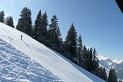 Ausschnitt auf die Tiger Trail Skipiste.
