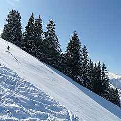  Vue sur la piste de ski Tiger Trail.