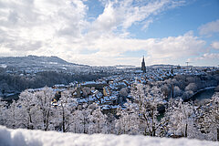 Winterliche Aussicht auf die verschneite Stadt mit Altstadtdächern, Kirchturm und schneebedeckten Bäumen im Vordergrund.