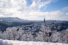 Vue d’hiver sur une ville enneigée, avec toits de la vieille ville, clocher et arbres couverts de neige au premier plan.