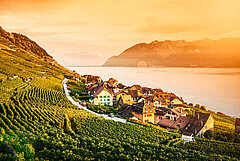 A pretty village surrounded by green vineyards, located directly on a lake.