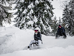  A man and a woman sitting on sleds and travelling down the sledding run through the snowy forest.