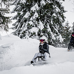  Un homme et une femme descendent la piste sur des luges à travers la forêt enneigée.