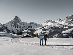 Pärchen wandert Hand in Hand auf einem Winterwanderweg mit verschneiter Bergkulisse