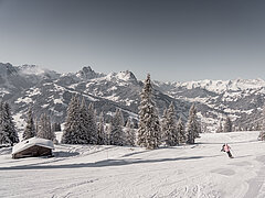 Bergwelt mit Skifahrer auf der Piste.