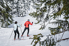 Un couple avec respectivement une doudoune bleue et une doudoune rouge fait du ski de fond dans la forêt enneigée.