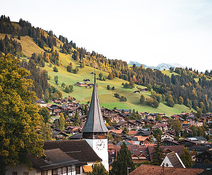 Dorf mit grosser Kirche umgeben von farbigen Bäumen, grünen Wiesen und Wälder.