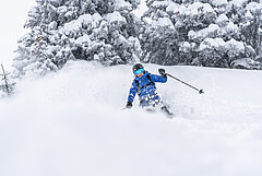 Eine Person beim Powder Skifahren.