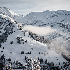  Plan large sur la montagne Wasserngrat sur laquelle se dressent de nombreux sapins enneigés, tandis que de légers nuages flottent entre les sommets.&nbsp;