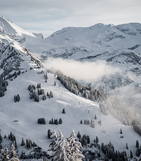 Weitsicht auf den Wasserngrat Berg, viele schneebedeckte Tannen und leichte Wolken hängen zwischen den Bergen. 