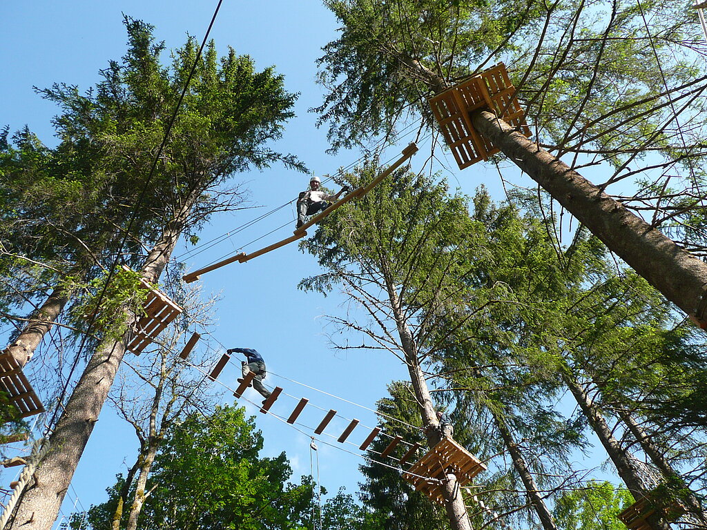 <p>Hoch oben in den Baumwipfeln sind die diversen Kletterelemente vor blauem Himmel.</p>