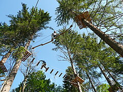 High up in the treetops are the various climbing elements against a blue sky.