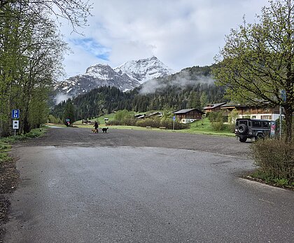 Parking area in an alpine setting with snow-capped mountains, forest and chalets. One person walks two dogs on wet pavement.
